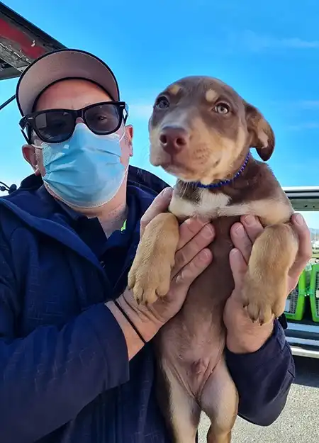 Dogtainers pet travel driver holding a puppy